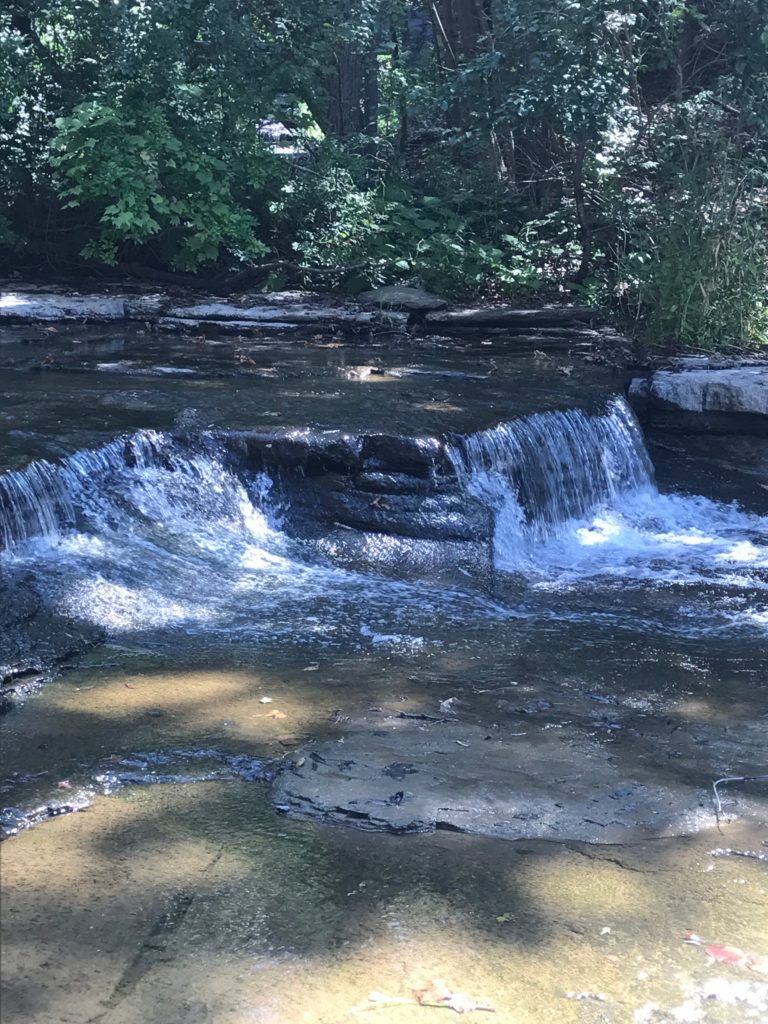 Chasing the Finger Lakes Waterfalls in New York State